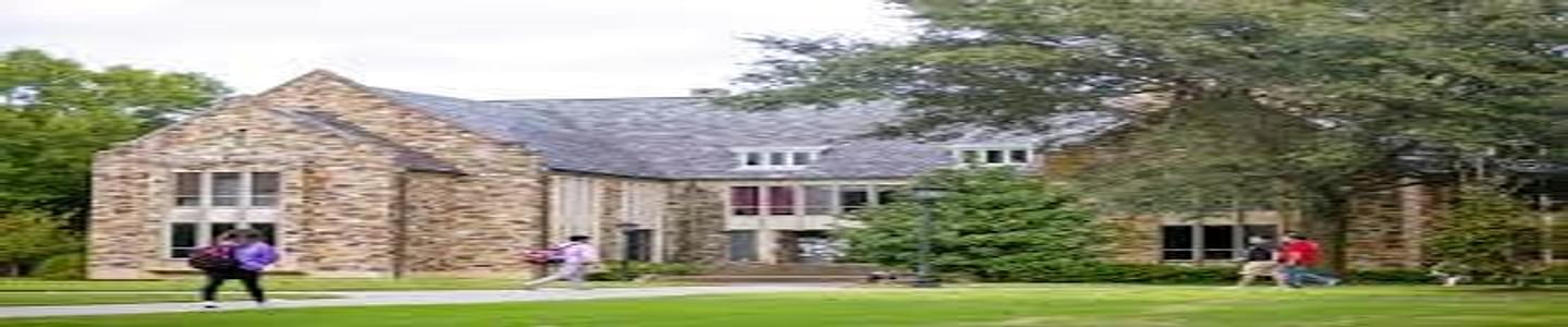 Rhodes College banner