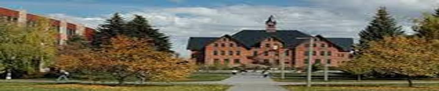 Montana State University banner