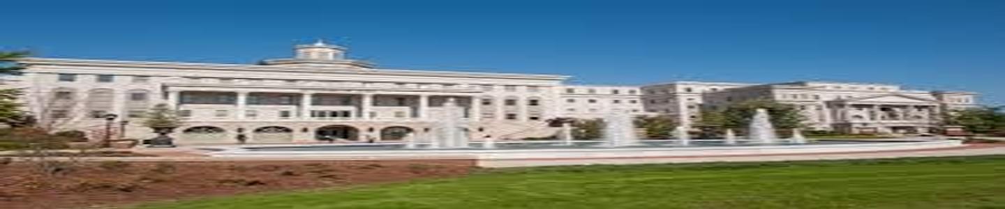 Belmont University banner