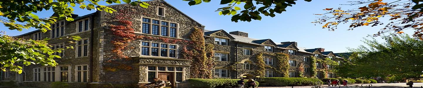 Bard College banner