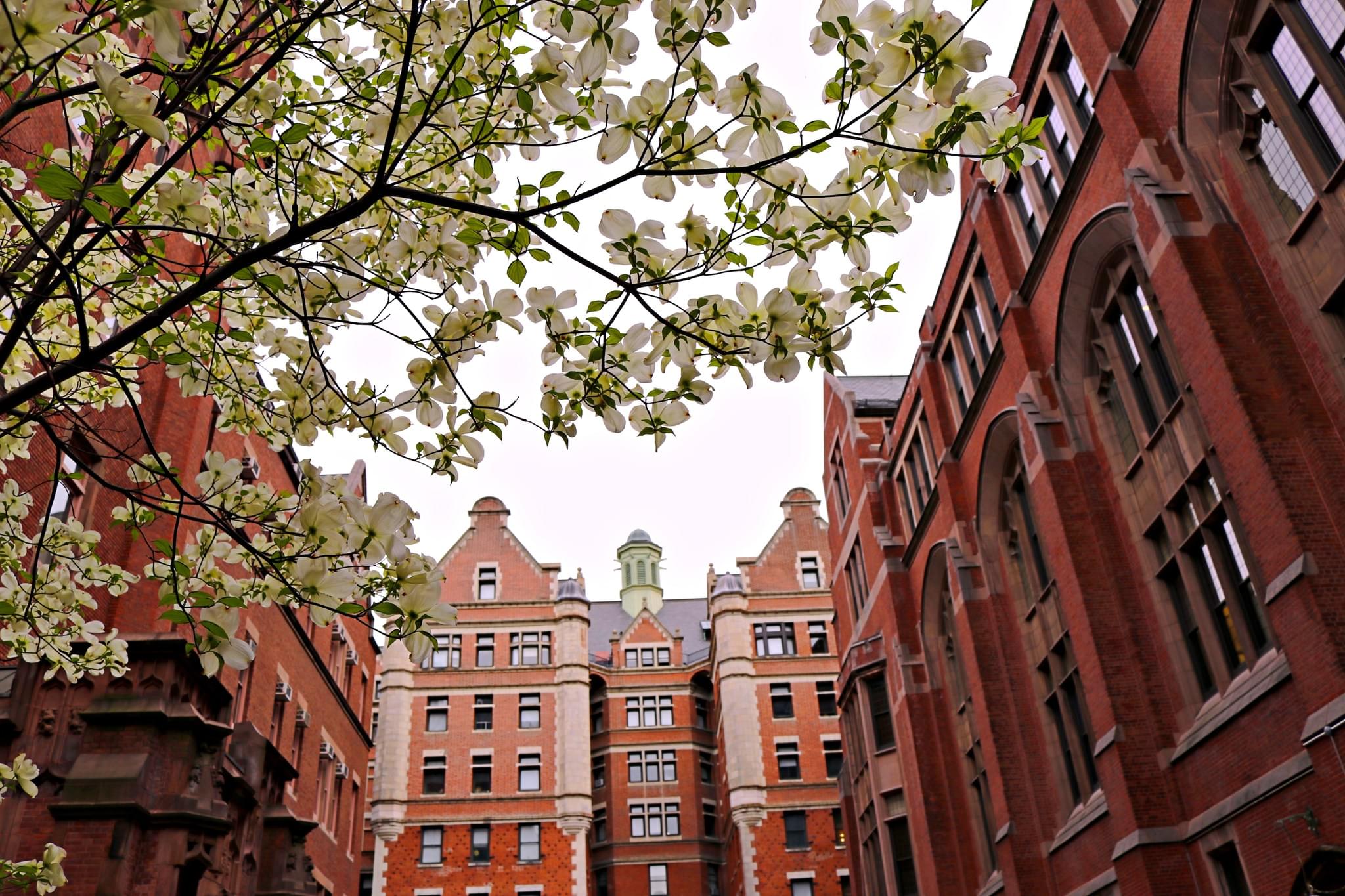 Courses at Teachers College at Columbia University