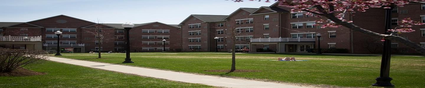 Stevenson University banner