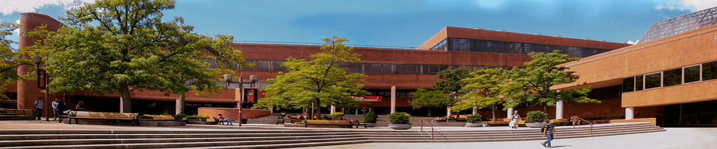 York College banner