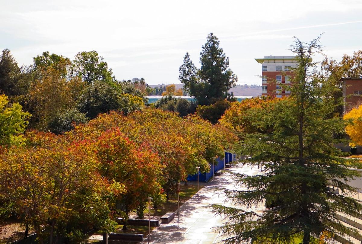 University of California Riverside Courses and Fees 2025