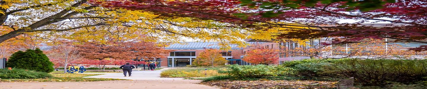 Webster University-Webster Groves banner