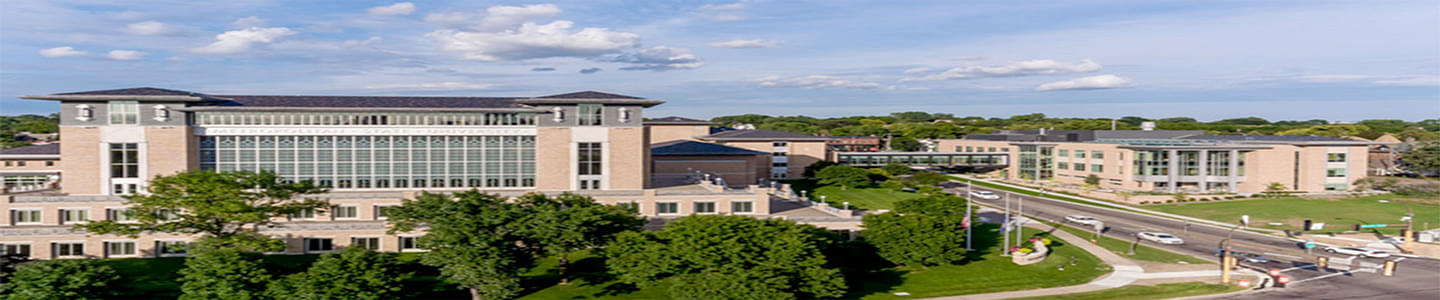 Metropolitan State University banner