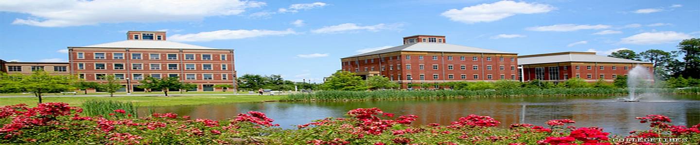 Georgia Southern University banner