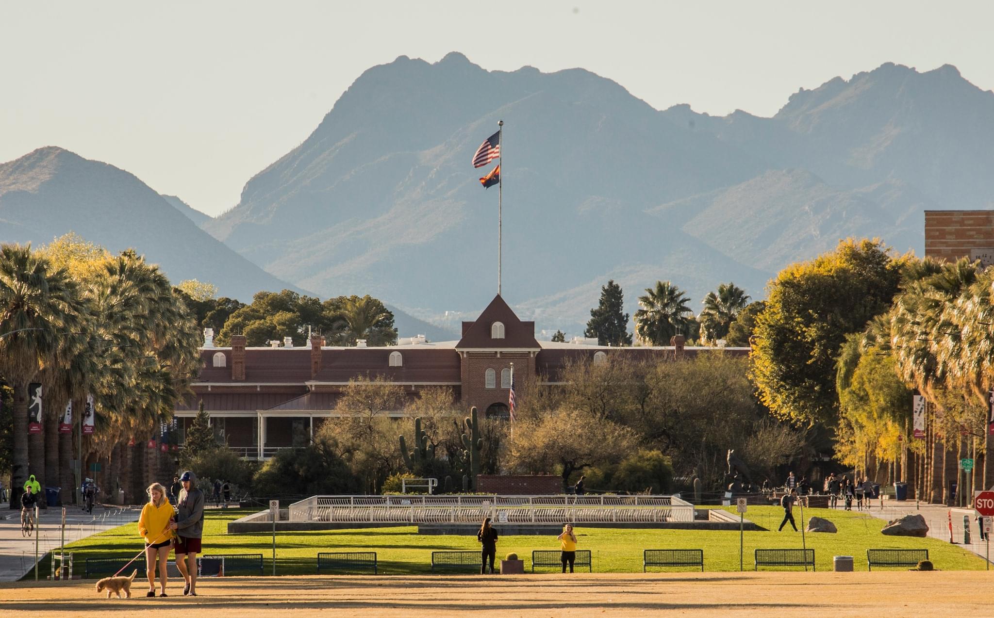 University of Arizona Courses and Fees 2025
