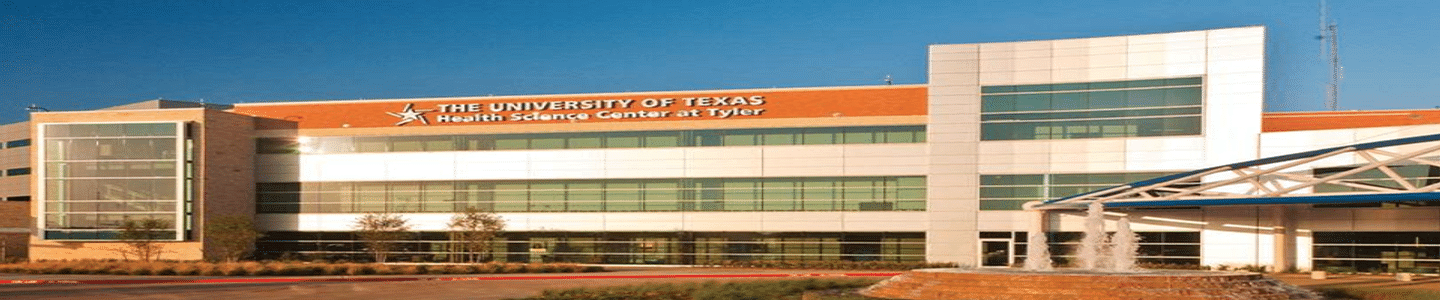 University of Texas banner