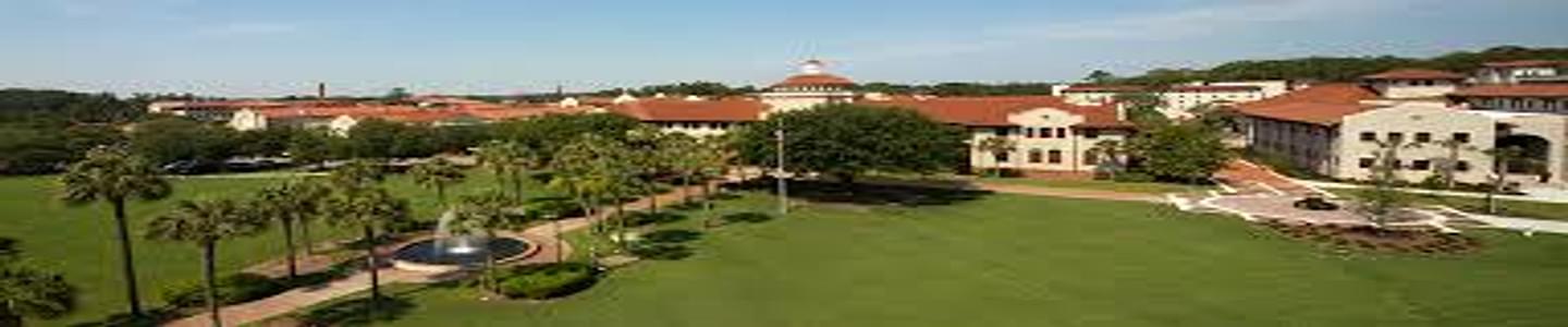 Valdosta State University banner