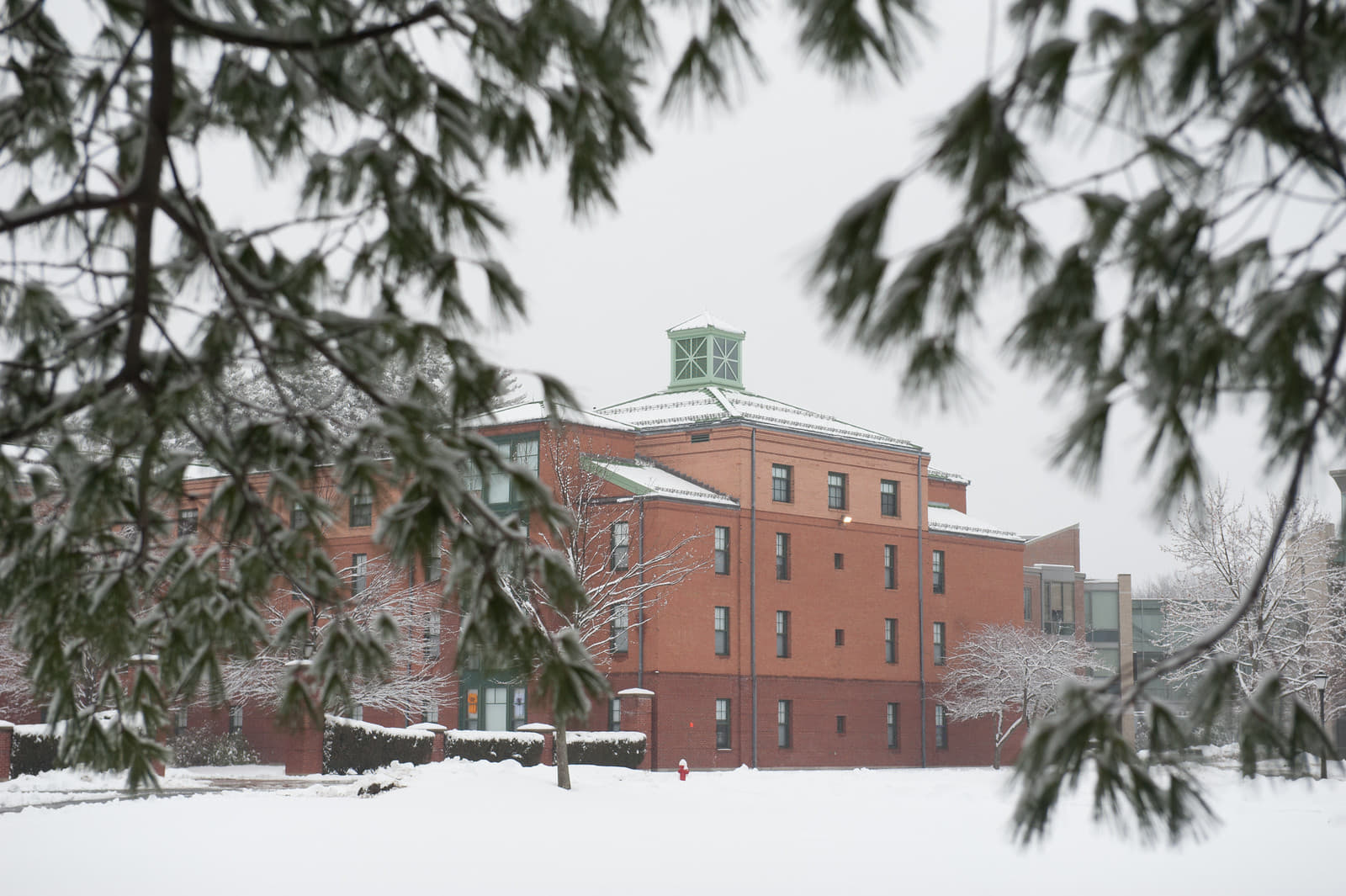 Westfield State University (WSU) Admissions 2025 Application Deadline