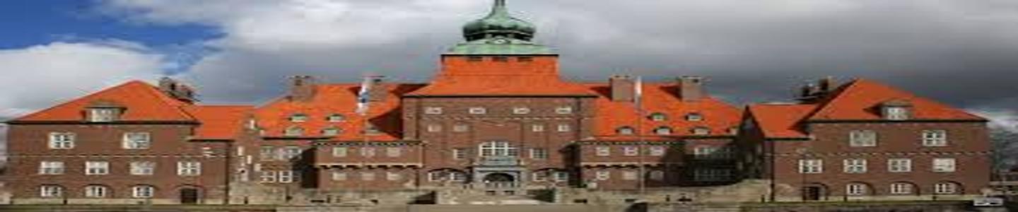 Mid Sweden University banner