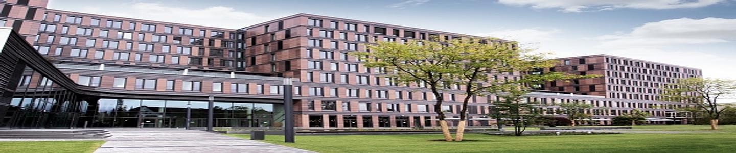 Frankfurt School of Finance & Management banner