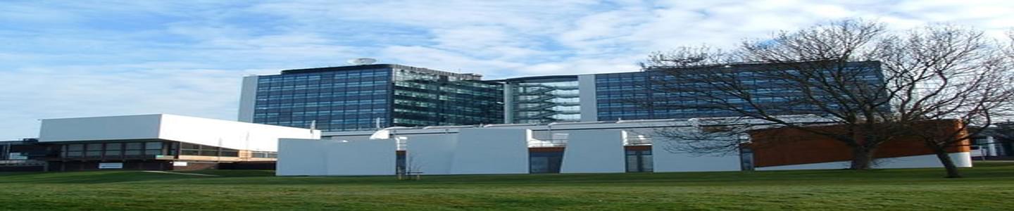 College of Health and Social Care, University of Derby banner