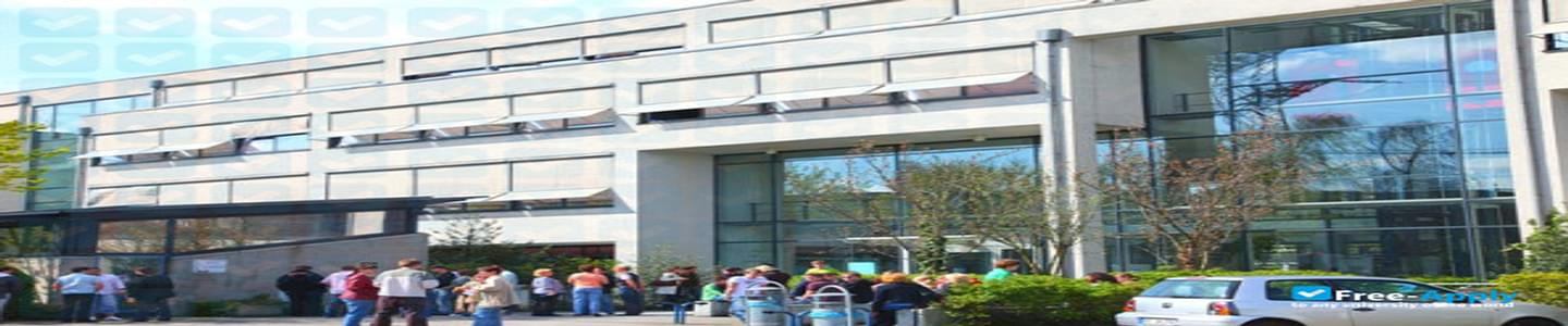FOM University of Applied Sciences banner