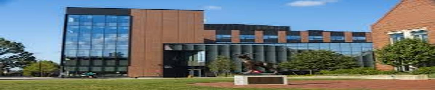 Foisie Business School banner