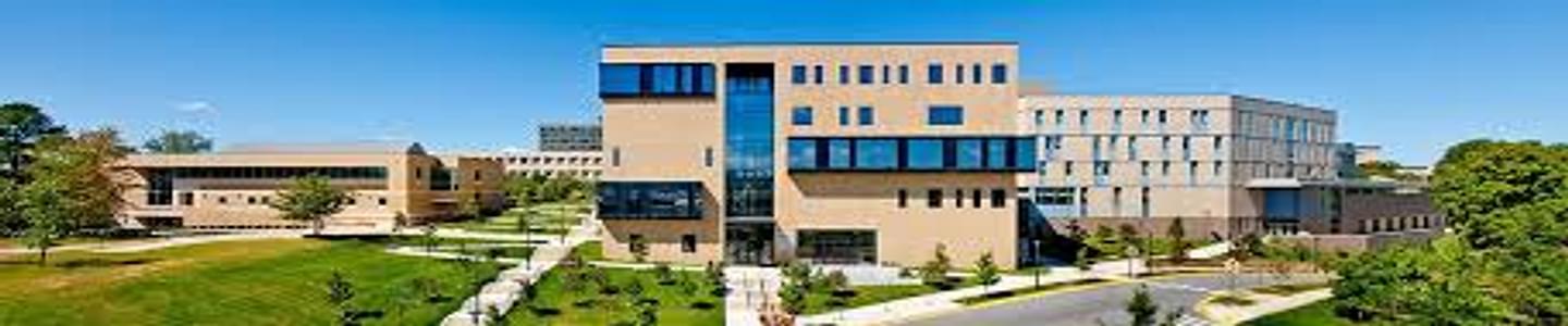 Sam M. Walton College of Business banner