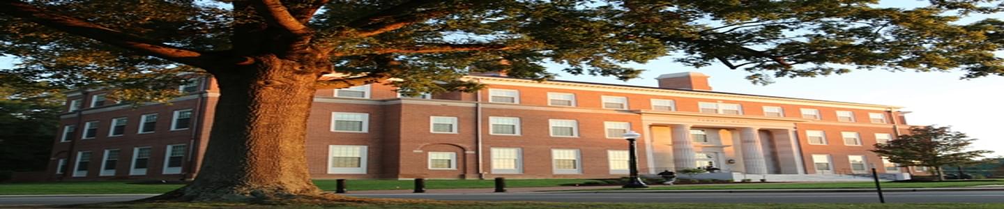 School of Business, Wake Forest University banner