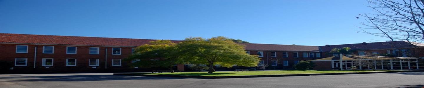 Excelsia College banner
