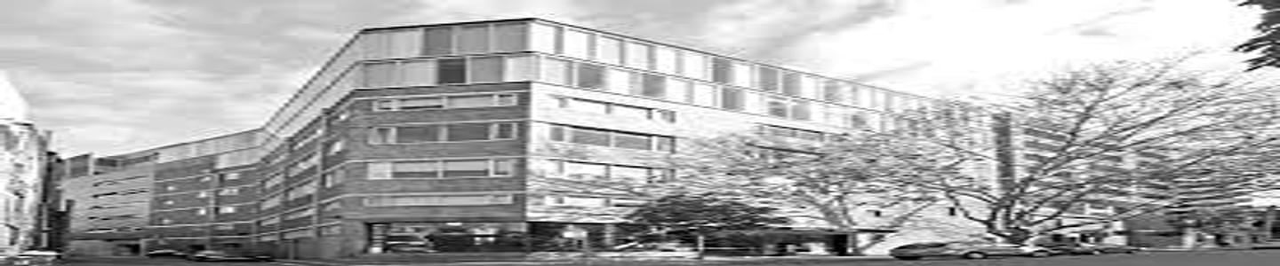 Whitehouse Institute of Design banner
