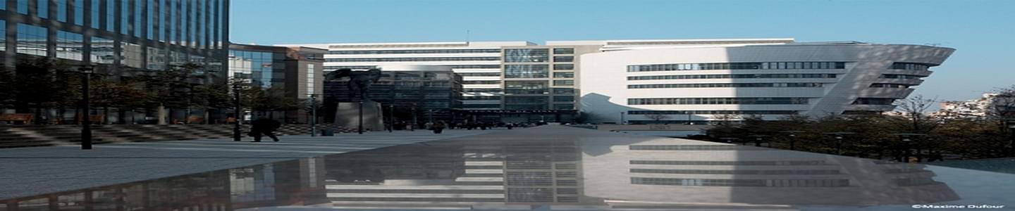 Skema Business School banner