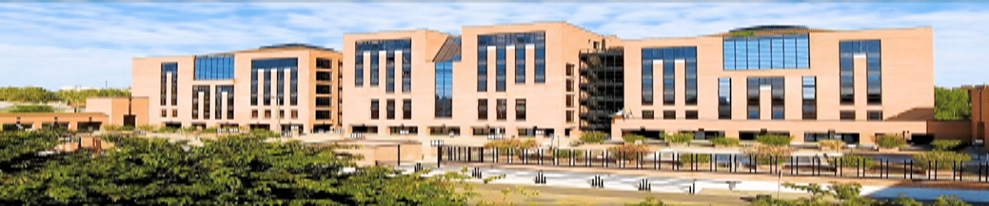 IULM University banner