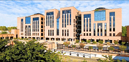 IULM University
