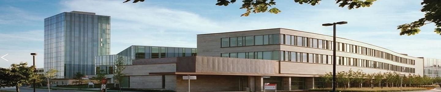 Schulich School of Business banner