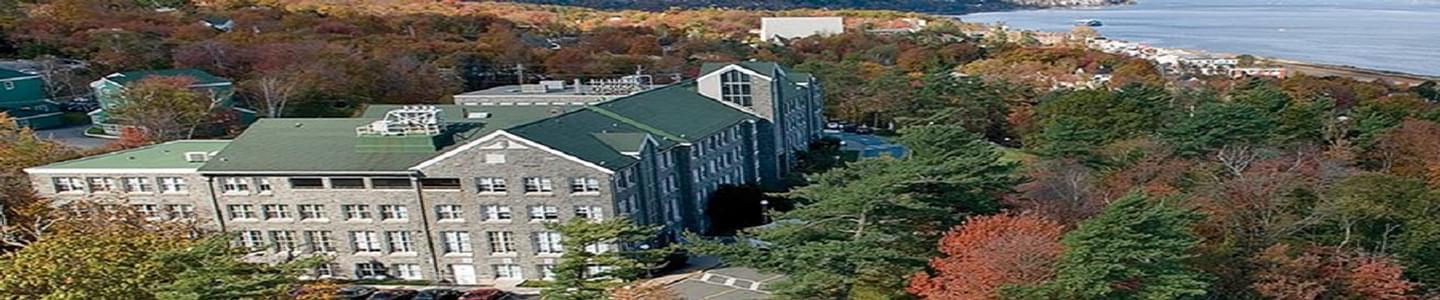 Mount Saint Vincent University banner