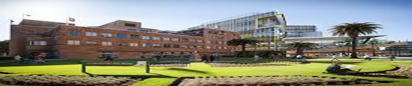 University of Newcastle banner