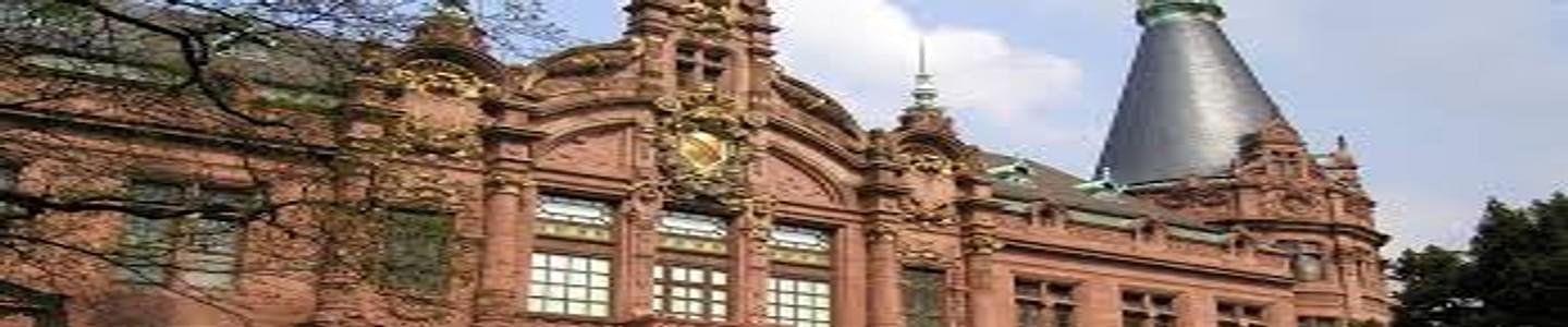 Heidelberg University banner