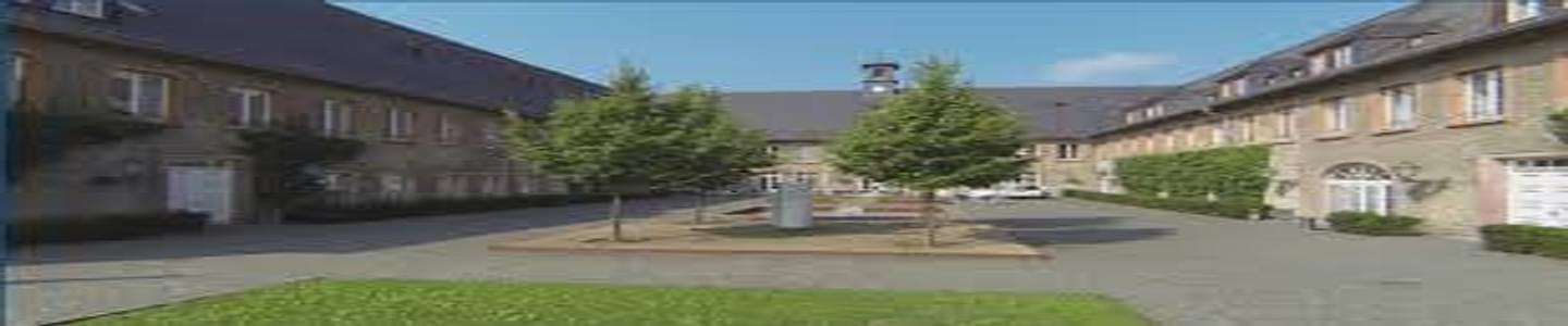 European Business School banner