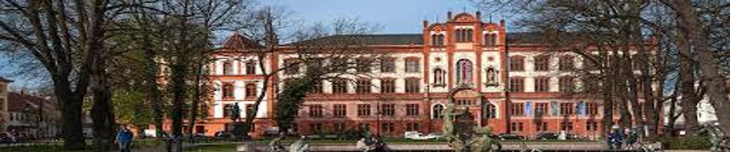 University of Rostock banner