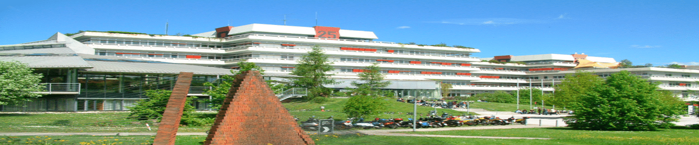 Ulm University banner