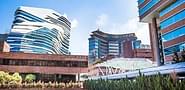 The Hong Kong Polytechnic University