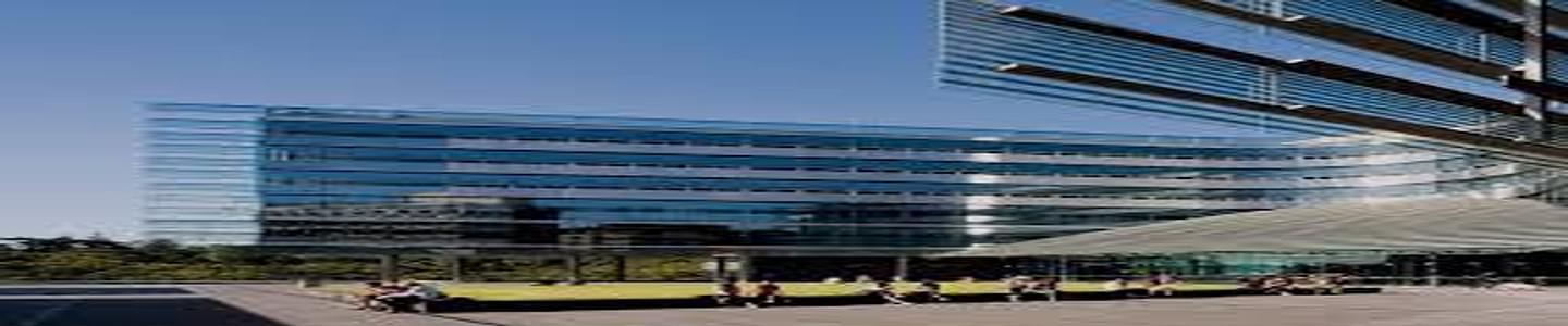 University of Auckland banner
