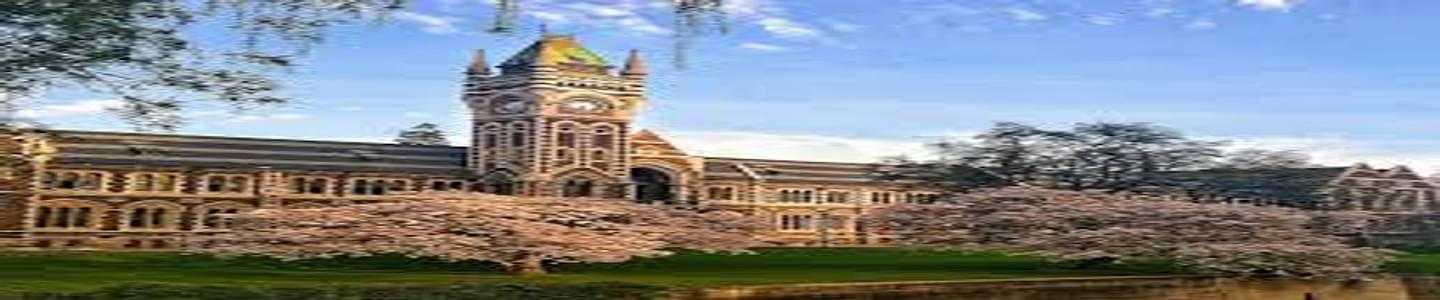 University of Otago banner