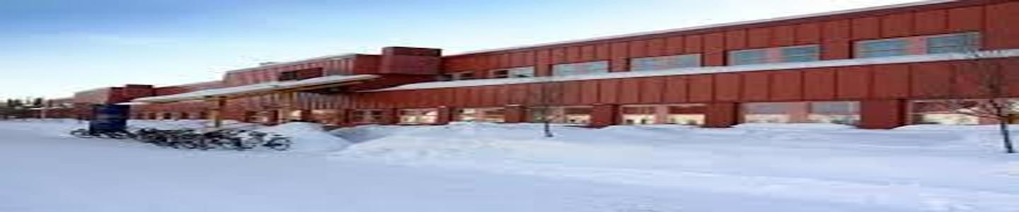 Lulea University of Technology banner