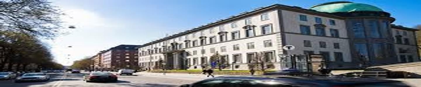 Stockholm School of Economics banner
