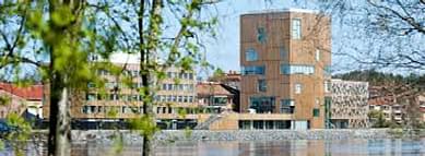 Umea University