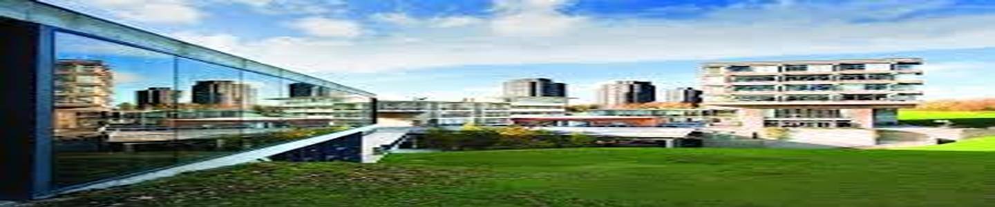 University of Essex banner