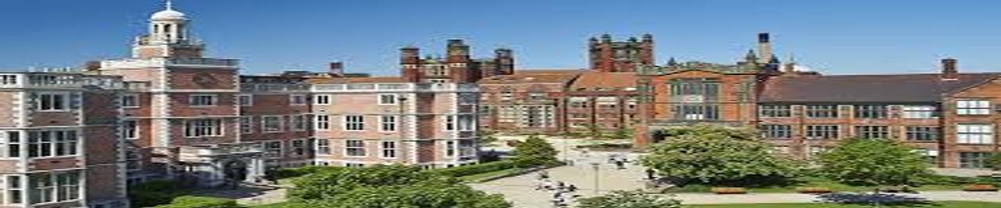 Newcastle University banner