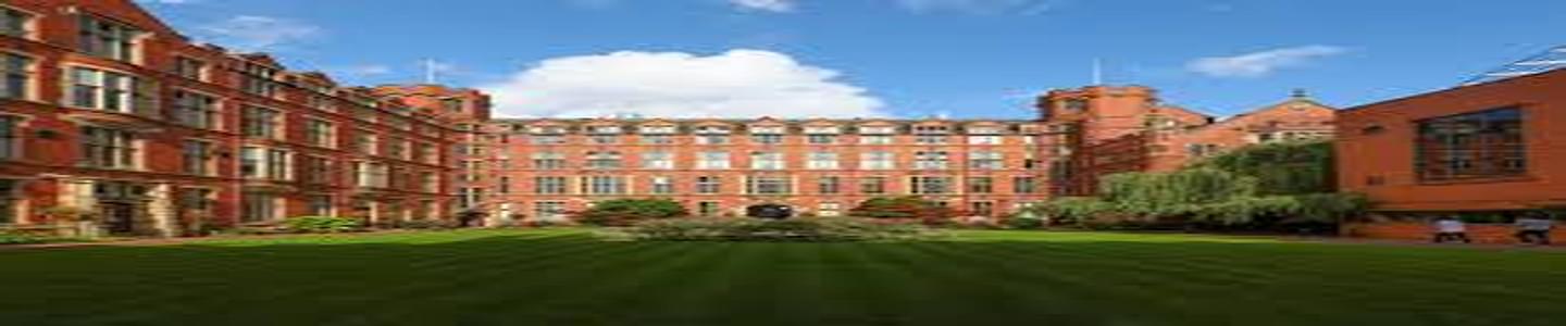 University of Sheffield banner