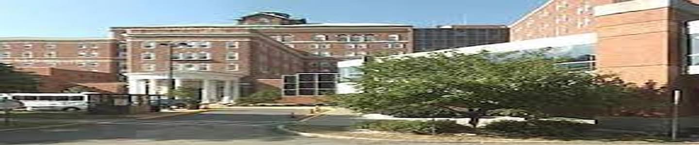 Albany Medical College banner