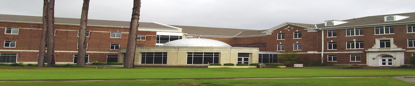 Henderson State University banner