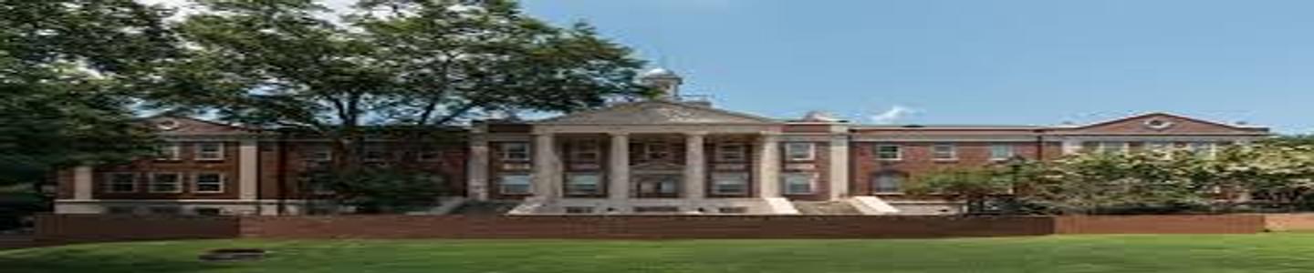 University of Georgia banner