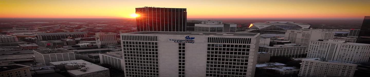 Georgia State University banner