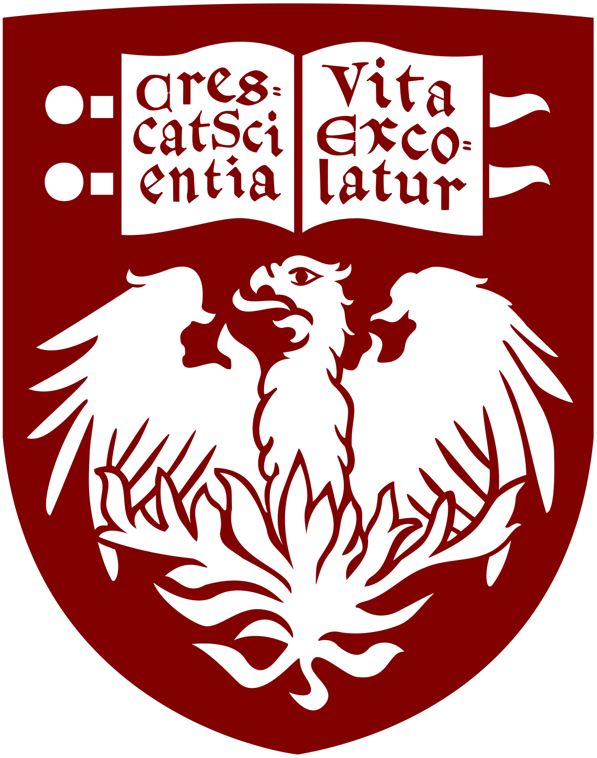 University of Chicago logo