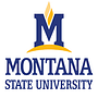 Montana State University logo