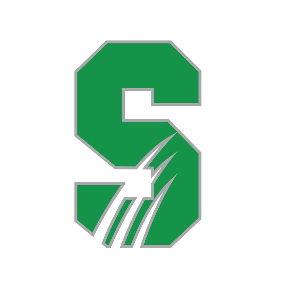Salem University logo